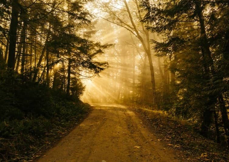 It's the journey not the destination