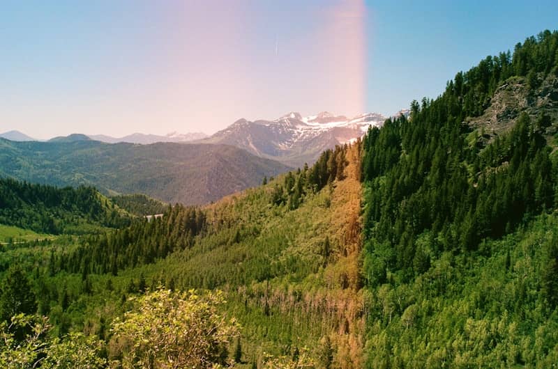 Green forests, distant snow-capped mountains, and a prominent light flare.
