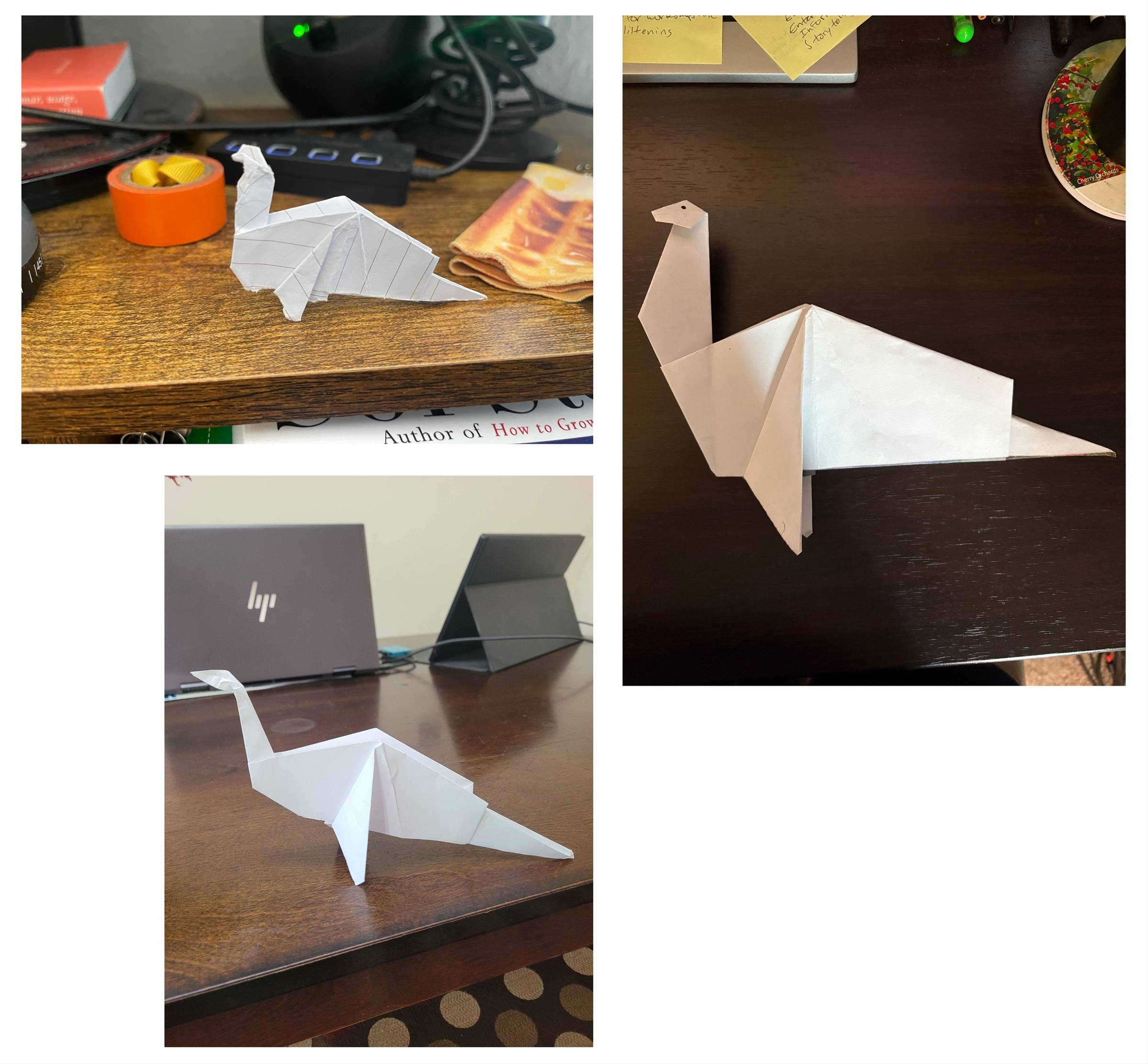 A sampling of some of our plesiosaurs!