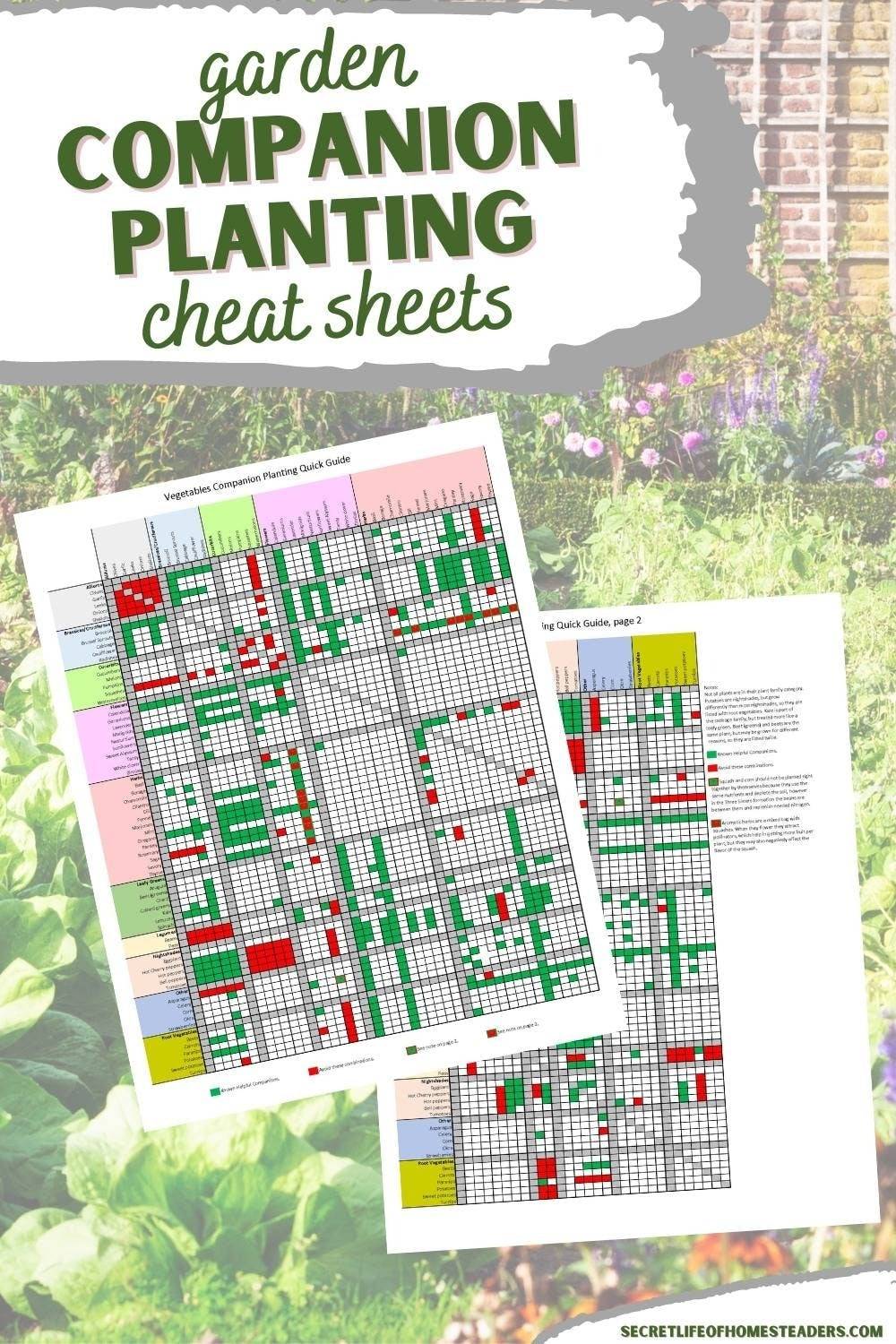 Companion planting cheat sheets