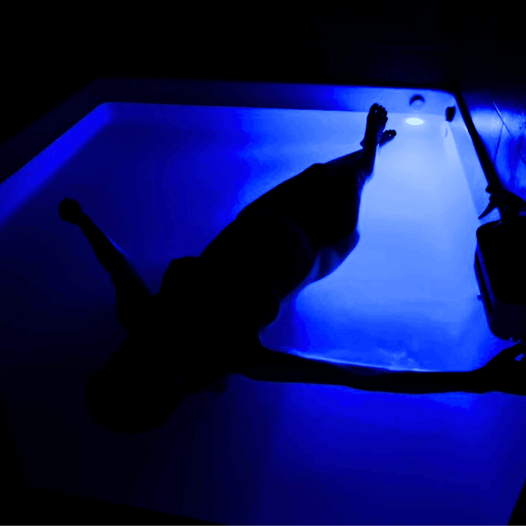 Maggie floating in an isolation tank. Blue light and dark exposure. Just a silhouette