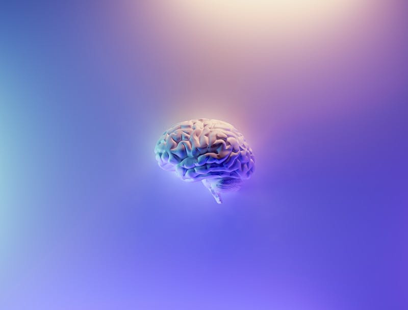 human brain illustration on blue and green background