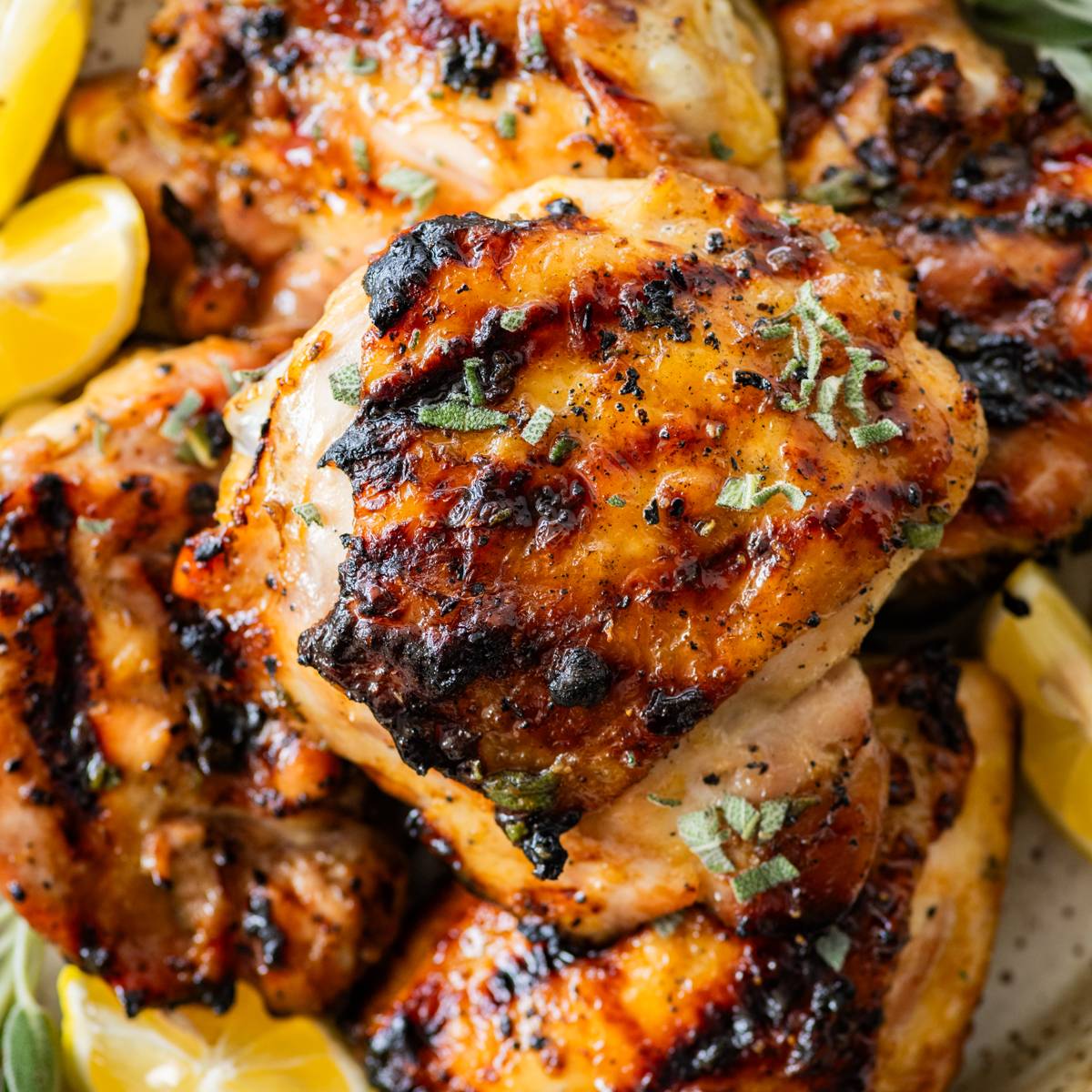 grilled chicken