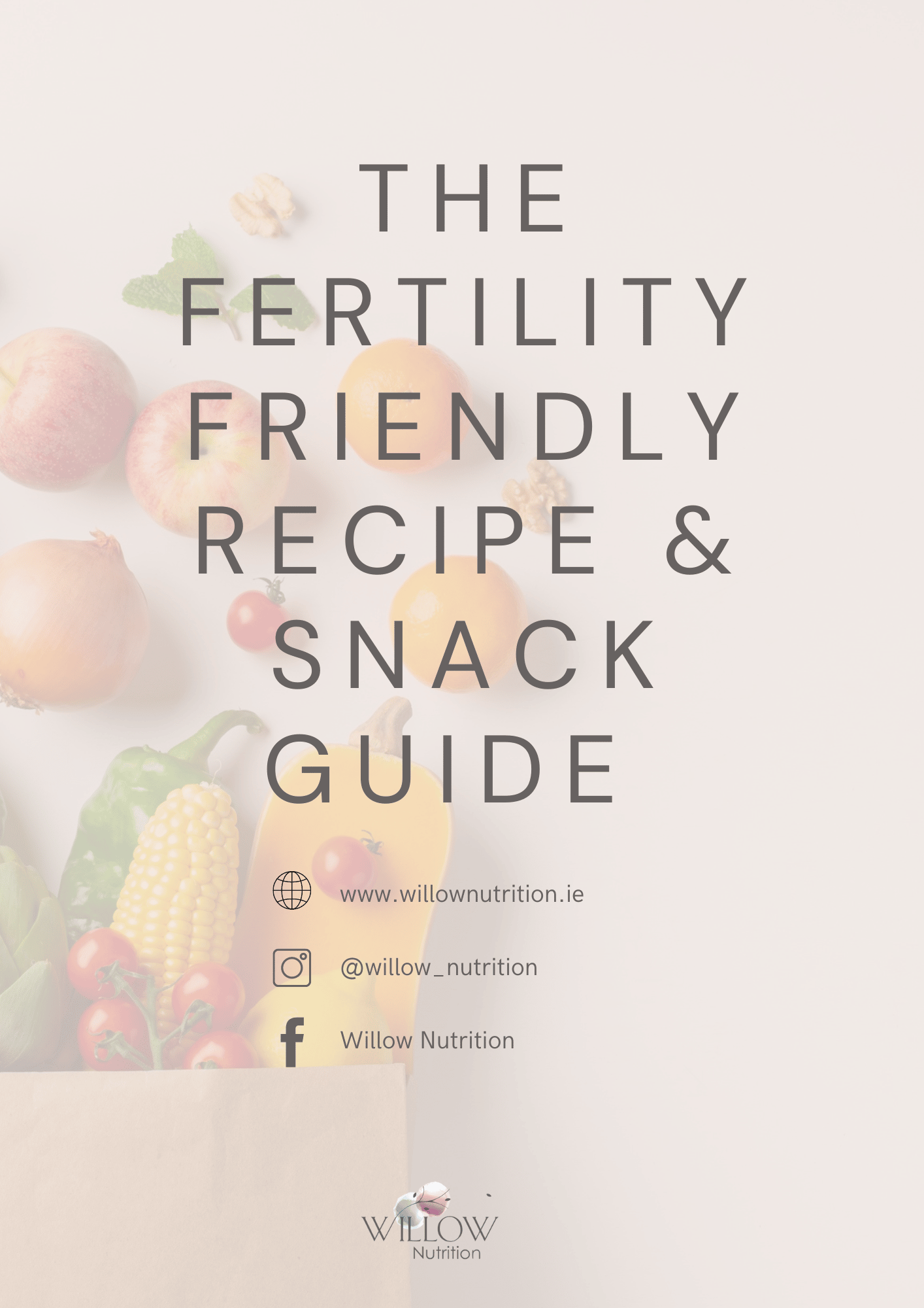 The Fertility Recipe & Snack Guide