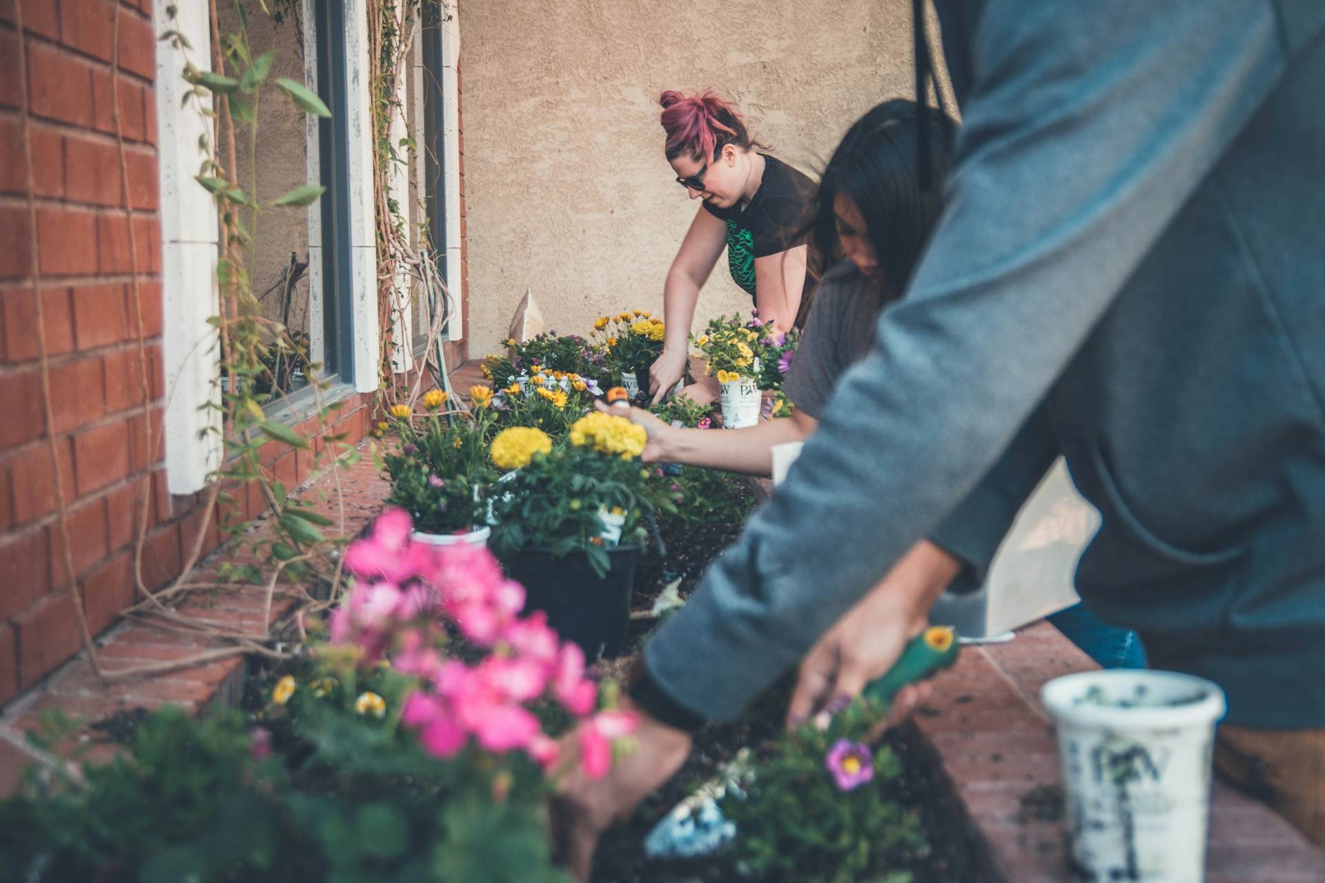group of people planting flowers and shurbs