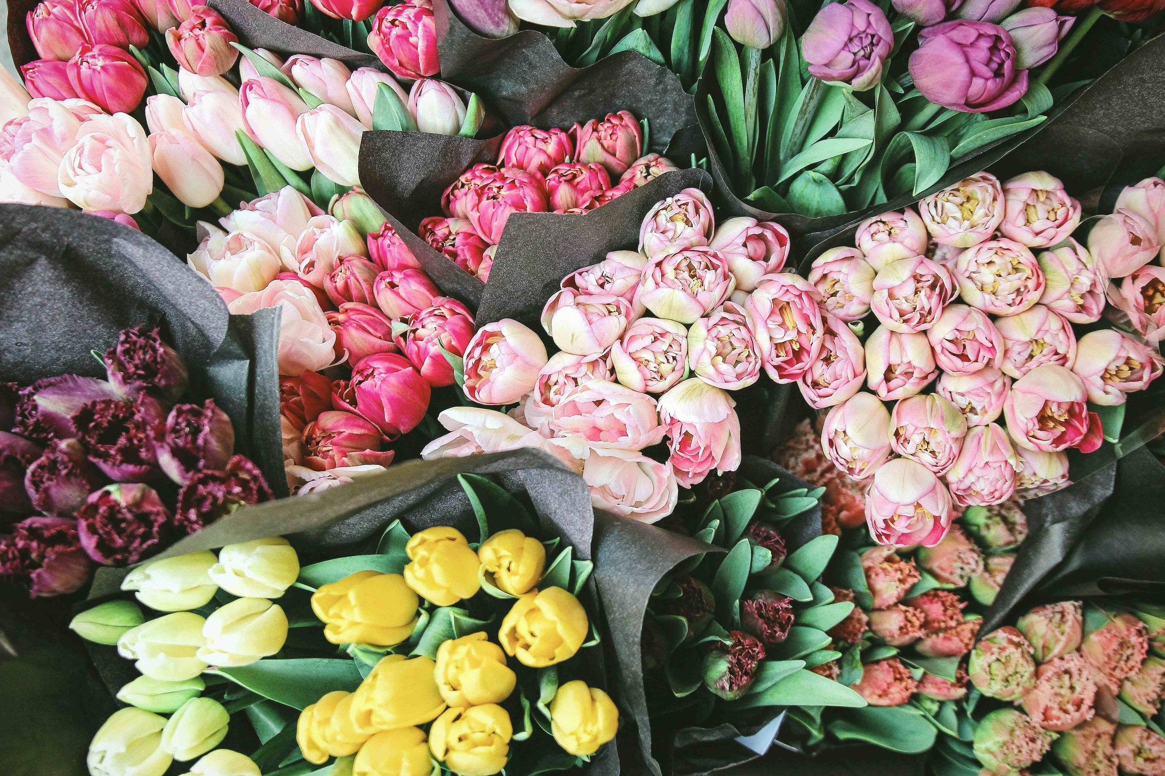 beautiful spring tulips at a market stall