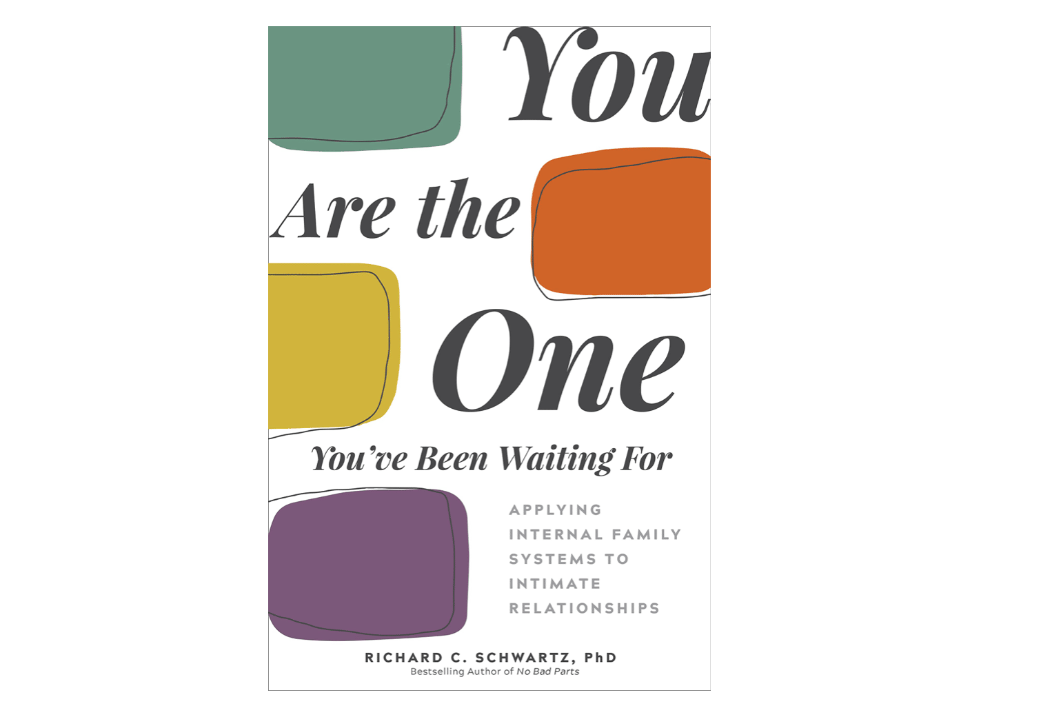 Cover of Dick Schwartz's book You Are The One You've Been Waiting For
