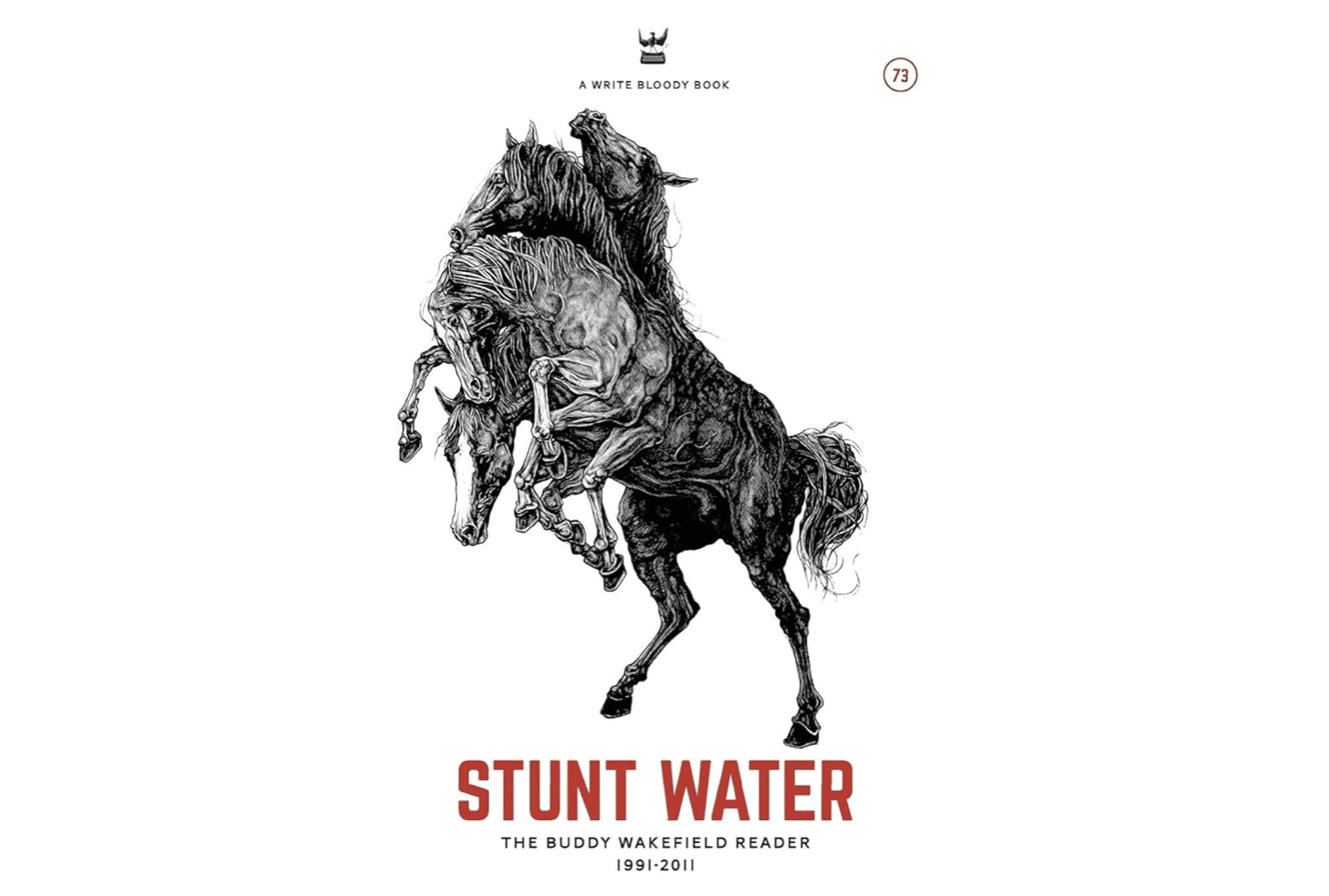 Cover of Buddy Wakefield's book Stunt Water
