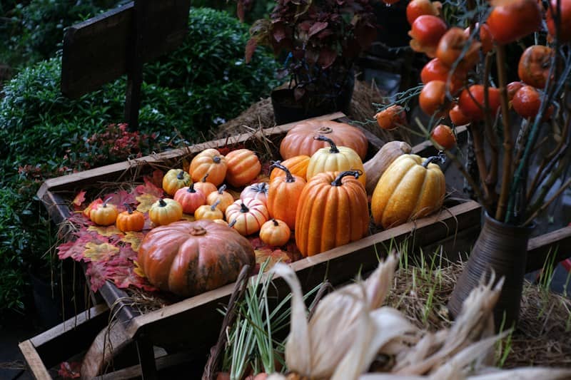 A wooden crate filled with assorted pumpkins and autumn leaves on straw