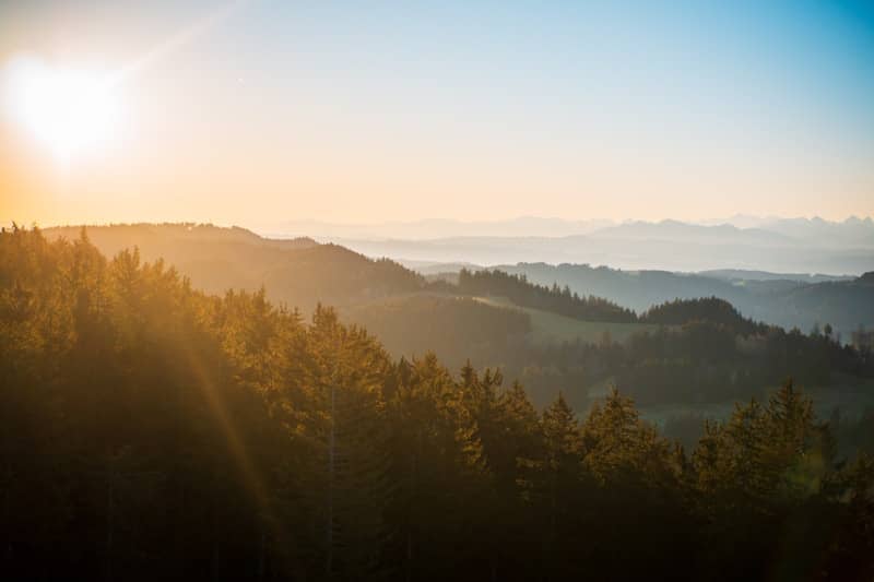 Sunrise bathes the forested mountains in light.