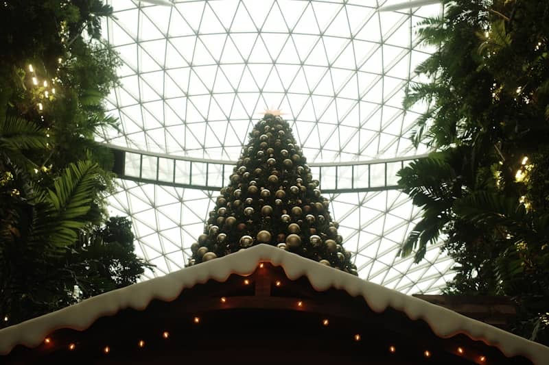 A large christmas tree in the middle of a building