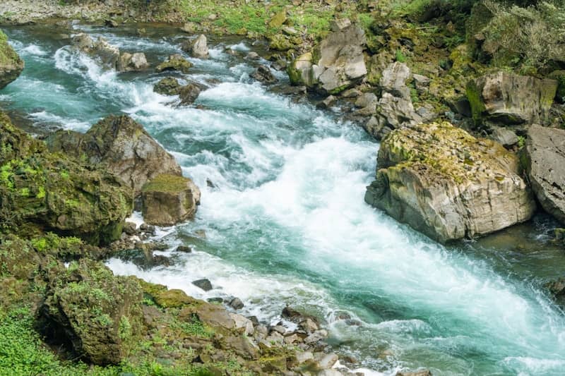 A clear river flows over rocks in a forest.