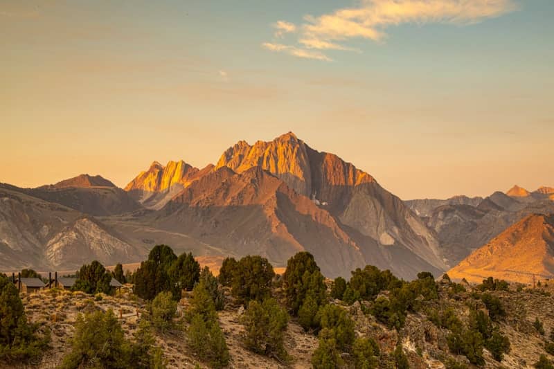 Golden mountain peaks at sunrise with scattered trees.