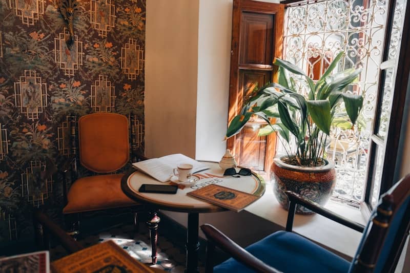 Cozy seating area with chairs and a plant by window.