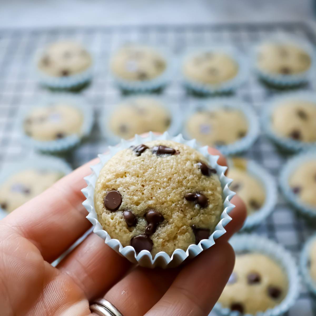 Hand Holding Mini Chocolate Chip Muffin