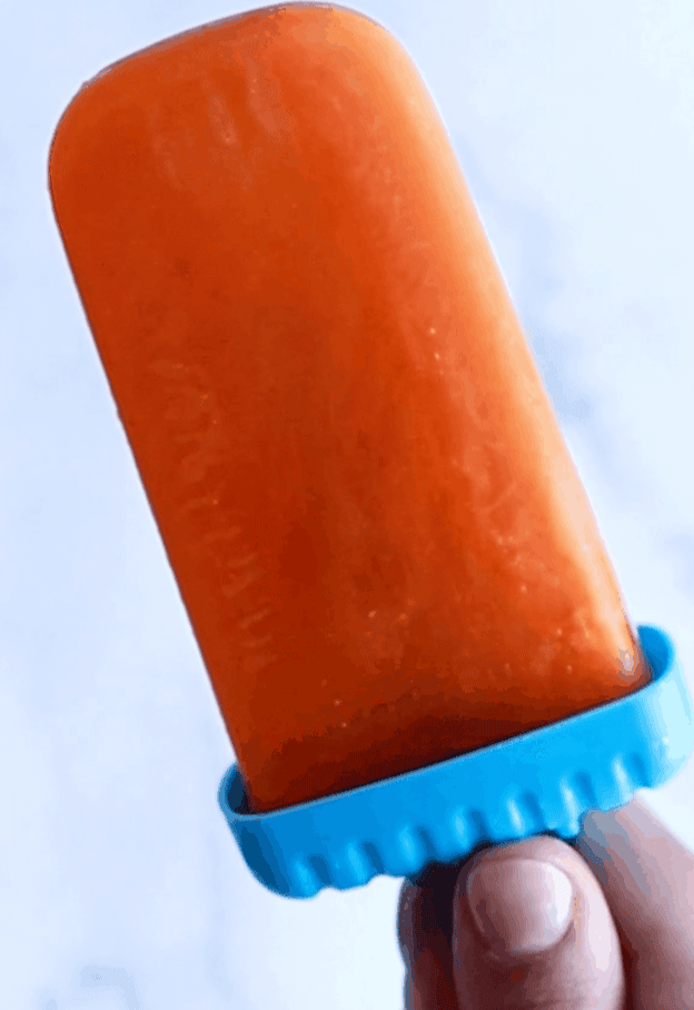 Orange Popsicle Recipe