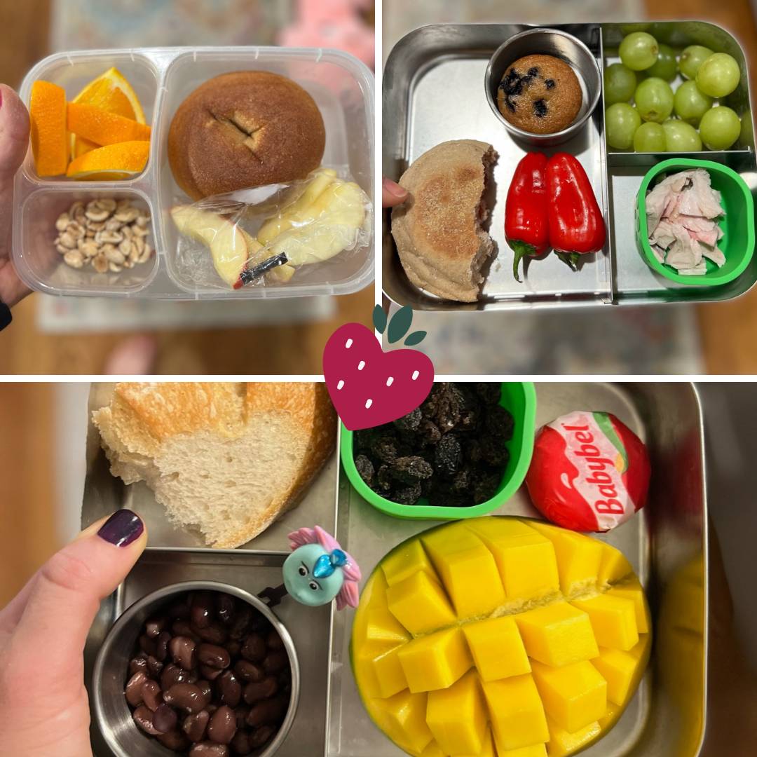 Packed Lunch Ideas