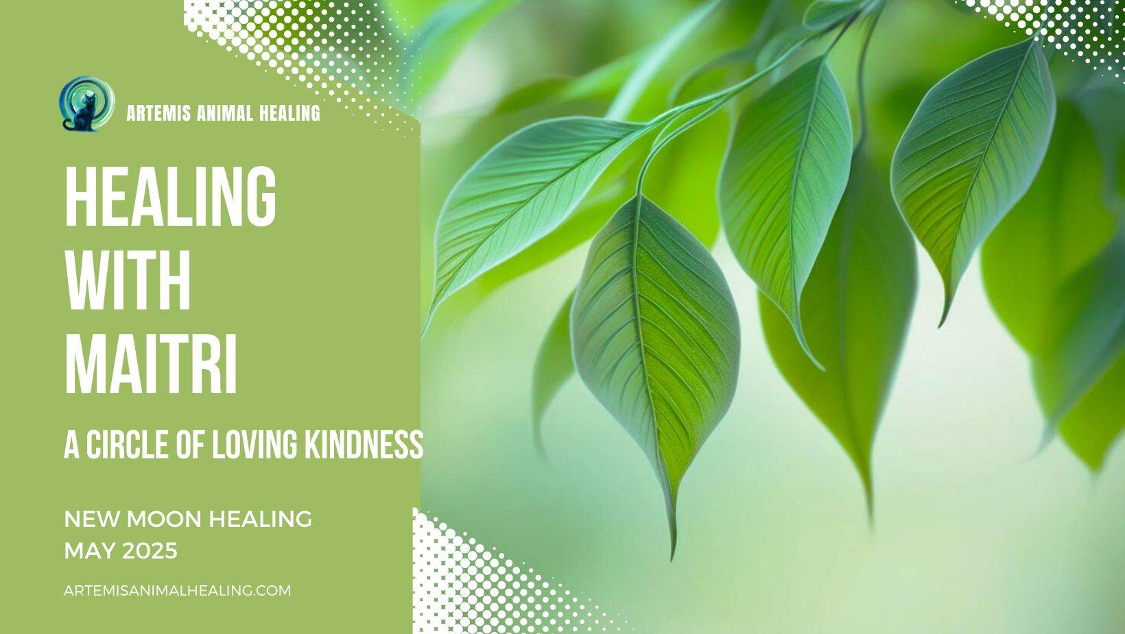 Upcoming New Moon Healing Ceremony