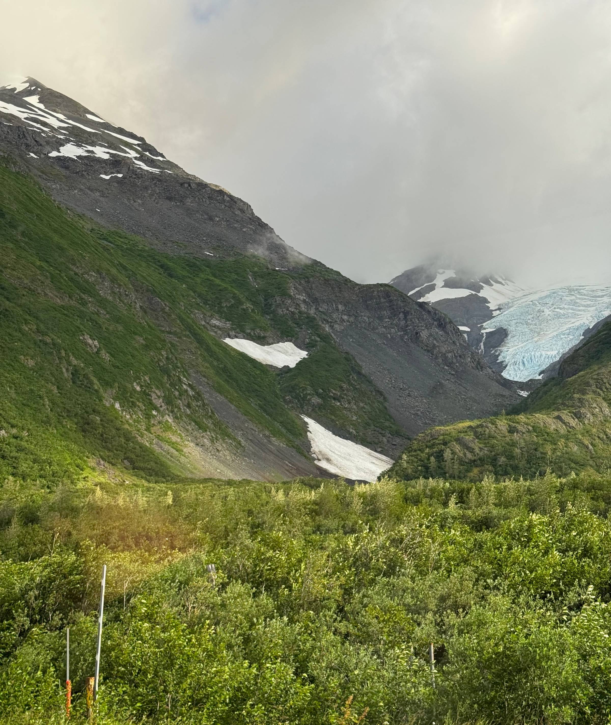 Featured Image for Welcome to A Poet’s Potpourri