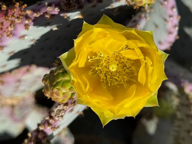 Featured Image for 