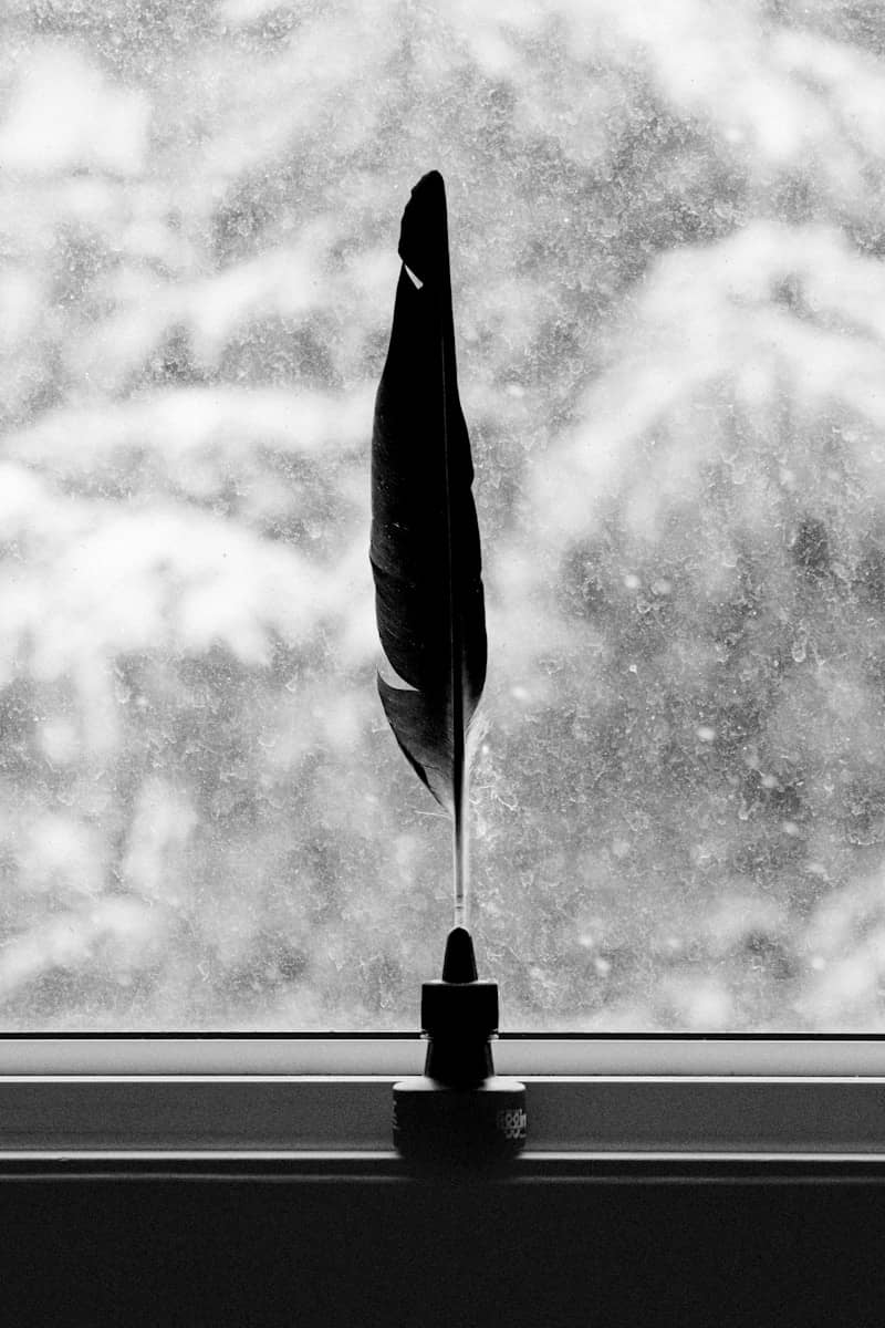 A quill pen stands in an inkwell by a window.