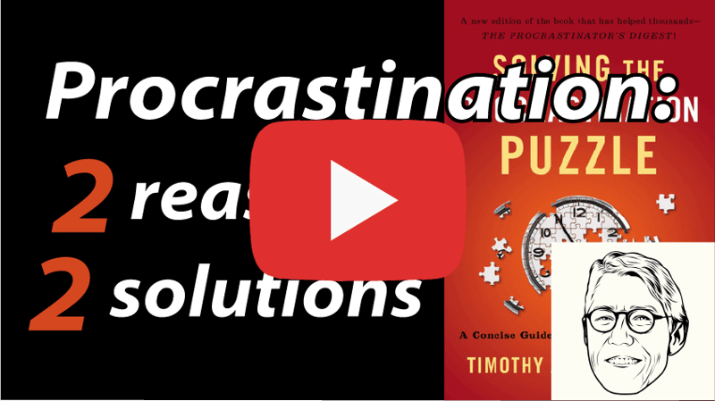 Solving the Procrastination Puzzle Book Video