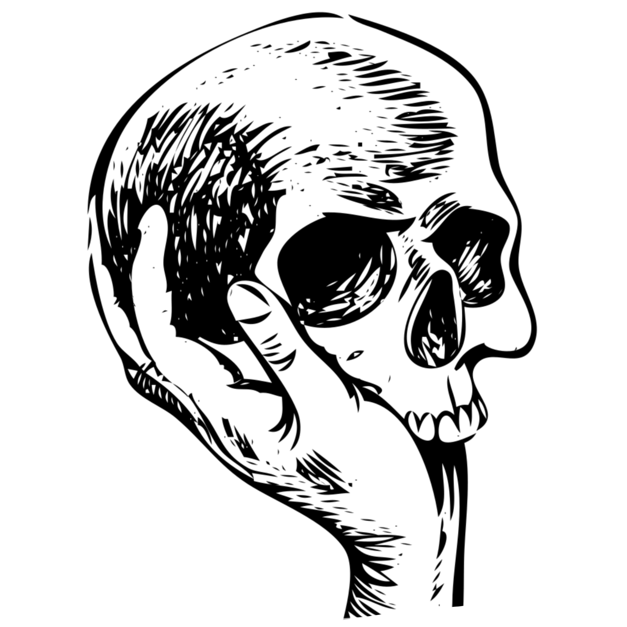 profile