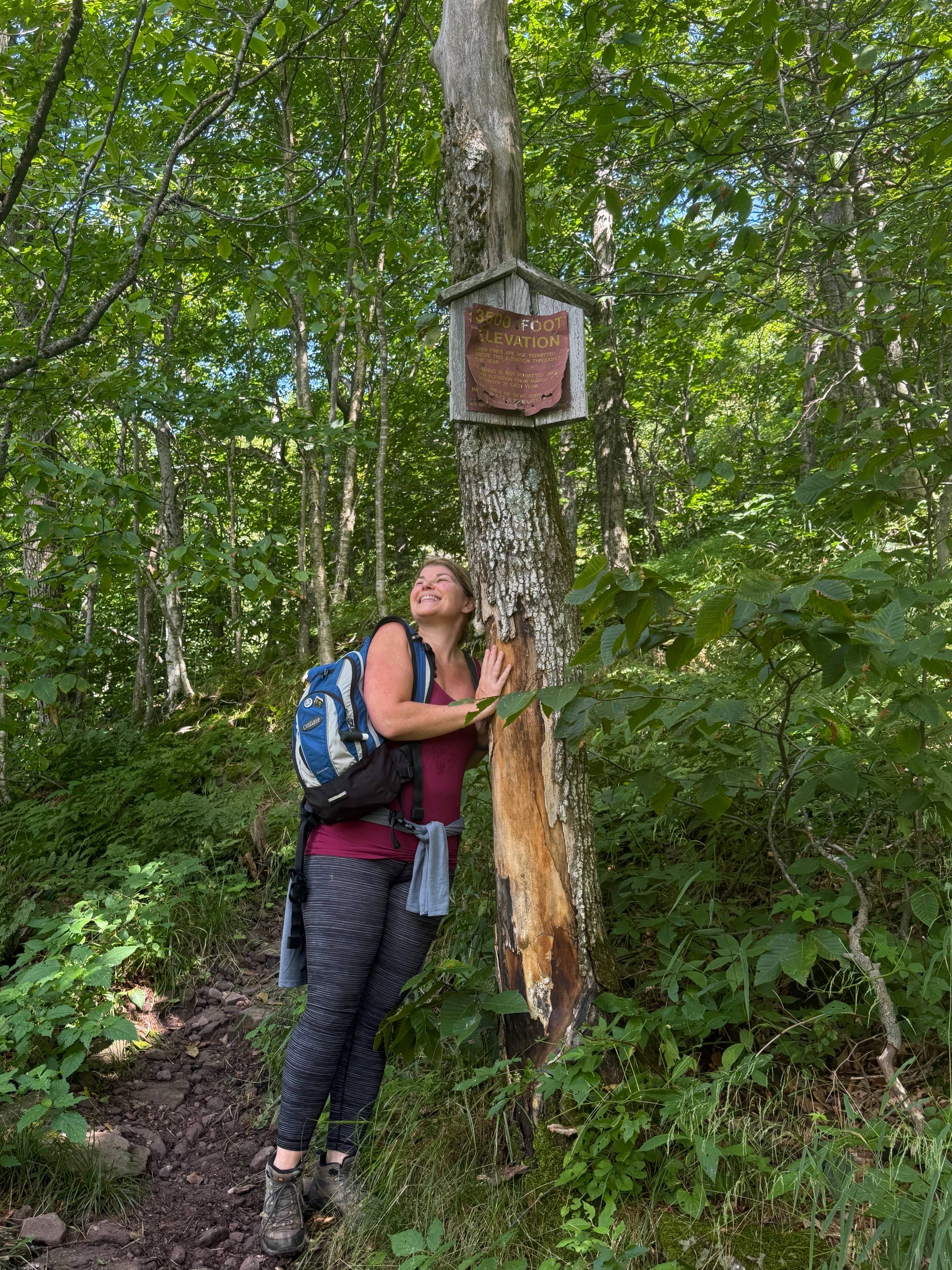 Deborah C. Smith, marketing strategist and business coach, out hiking in the Catskills and hugging a tree. 