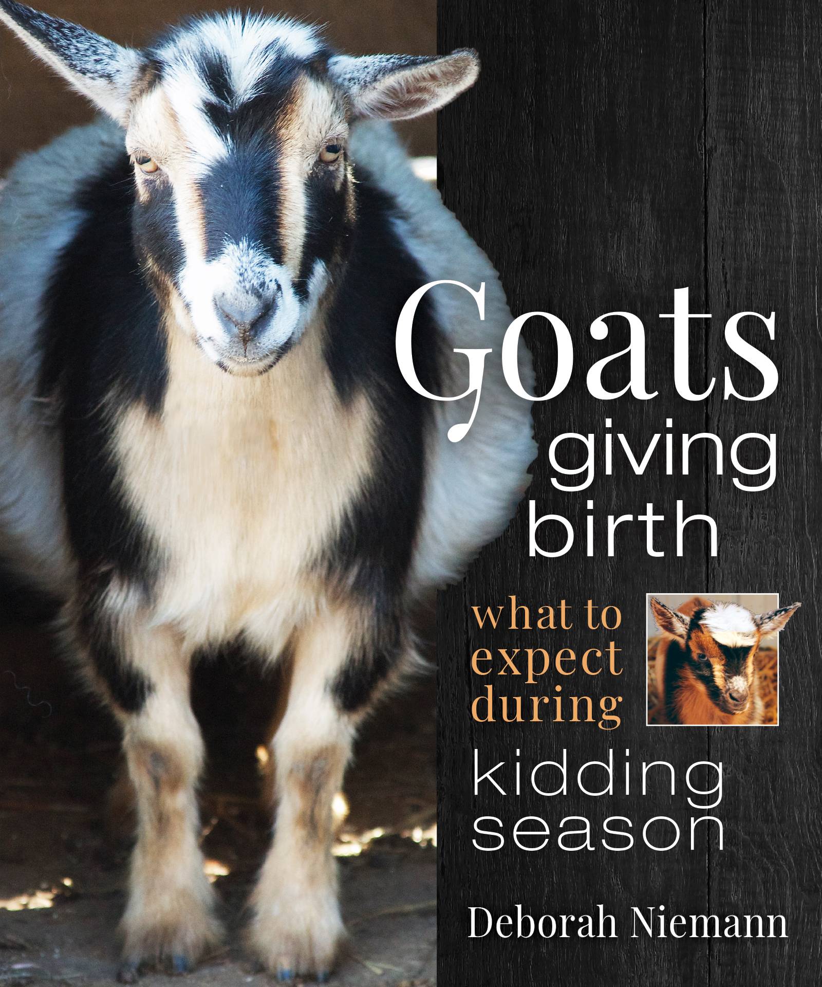 cover of book, "Goats Giving Birth"