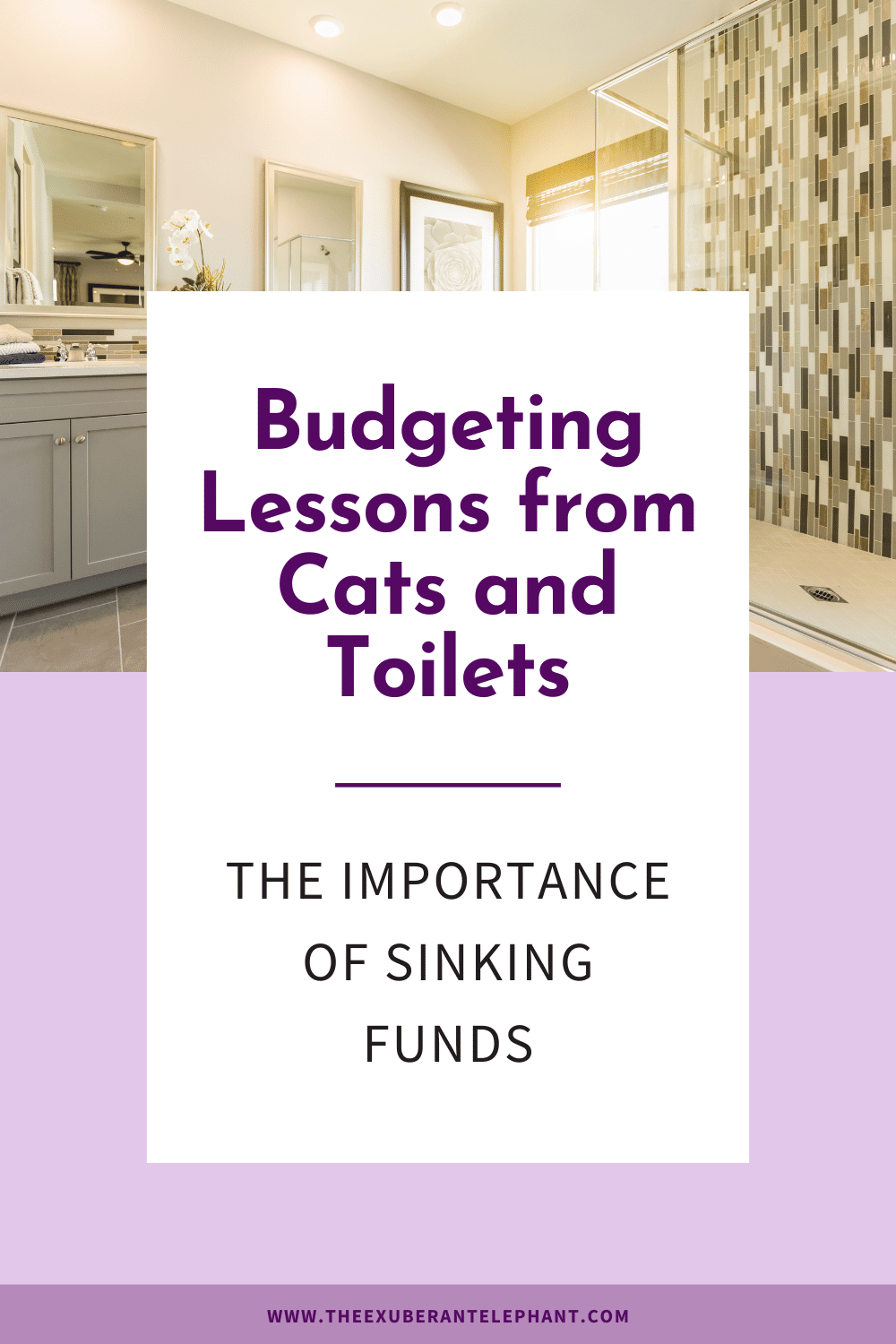 pin for budgeting lessons from cats and toilets