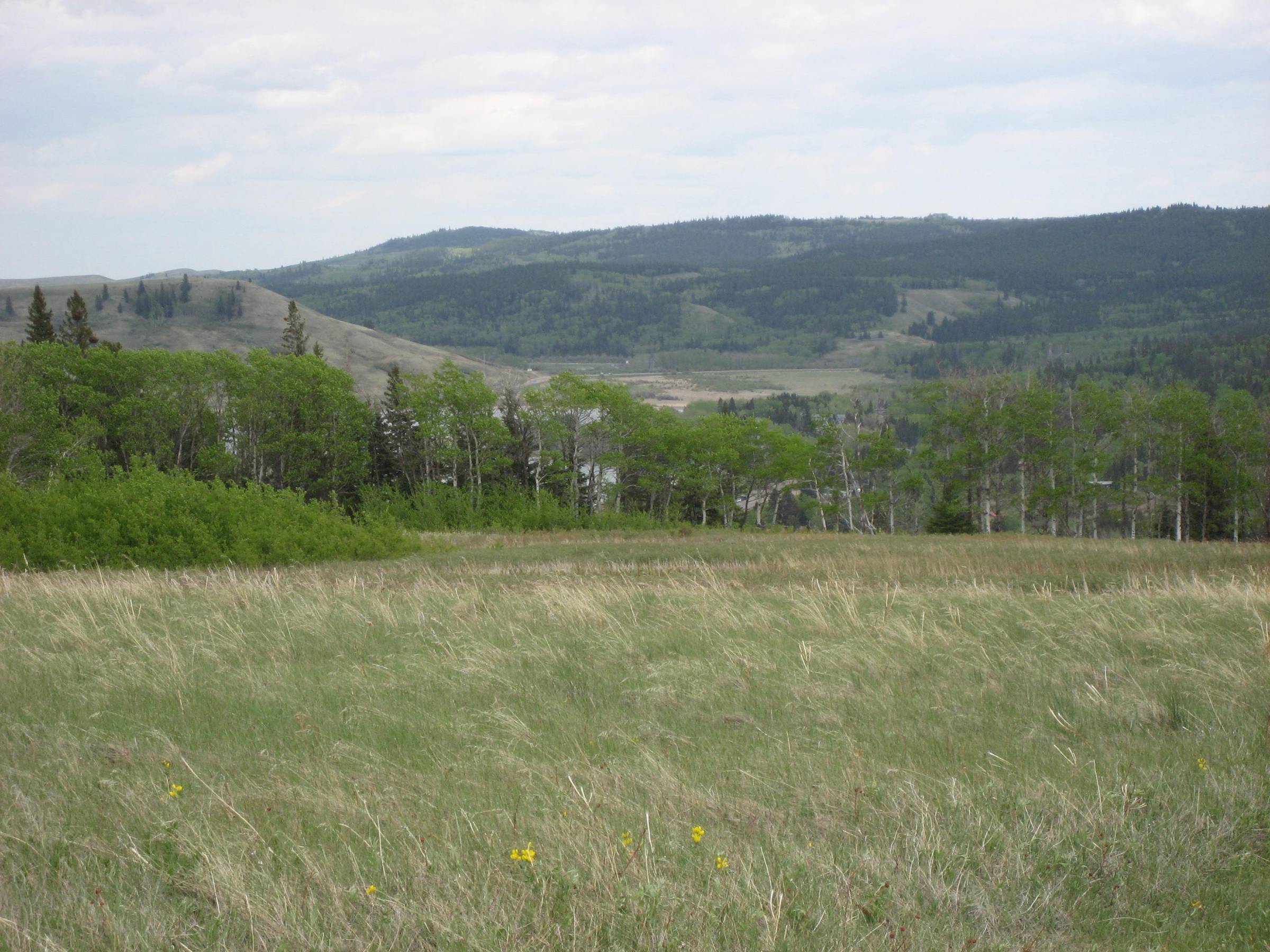 Hike near Cypress Hills