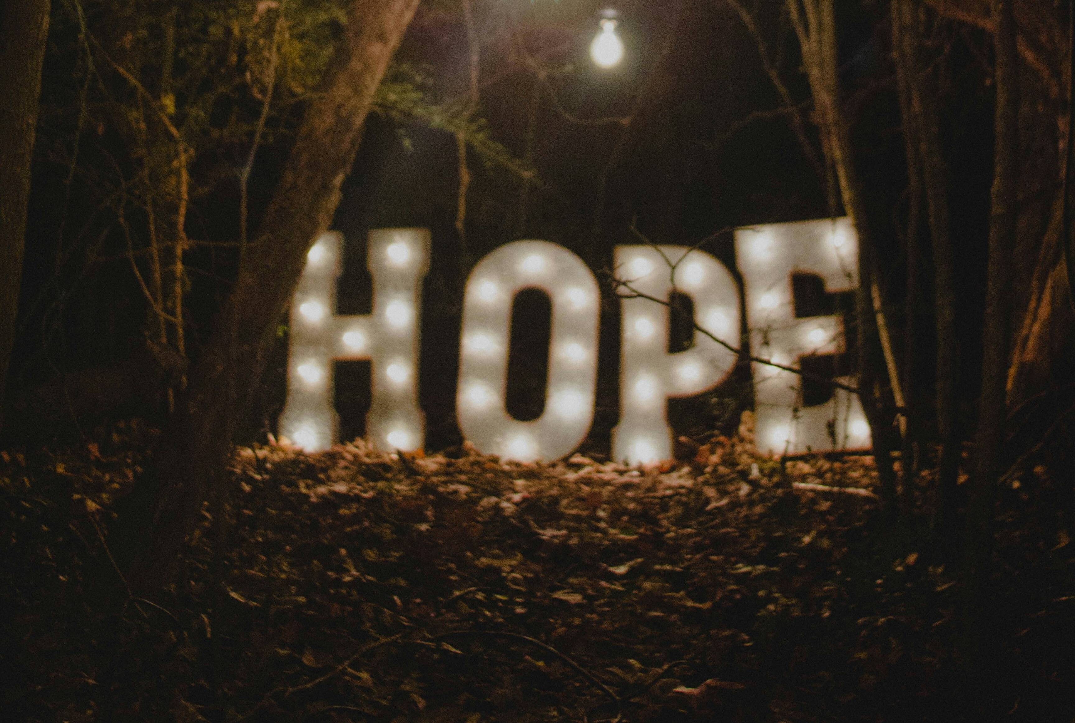 Large lit up letters in the woods say HOPE