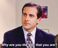 Michael Scott asking "Why are you the way that you are?" — me to every product that looks cute but ruins my life by hour 3