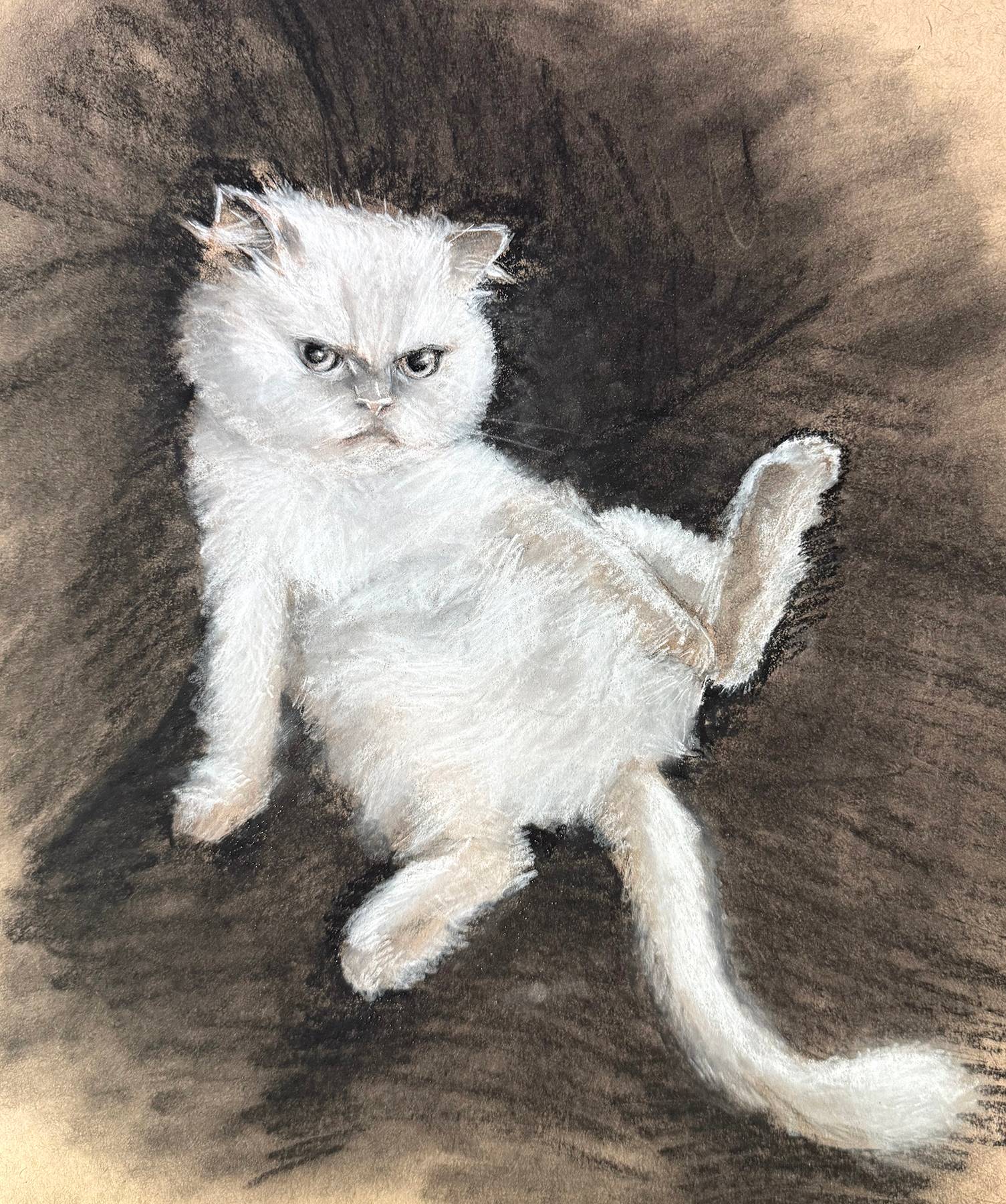 Drawing of Leo the cat
