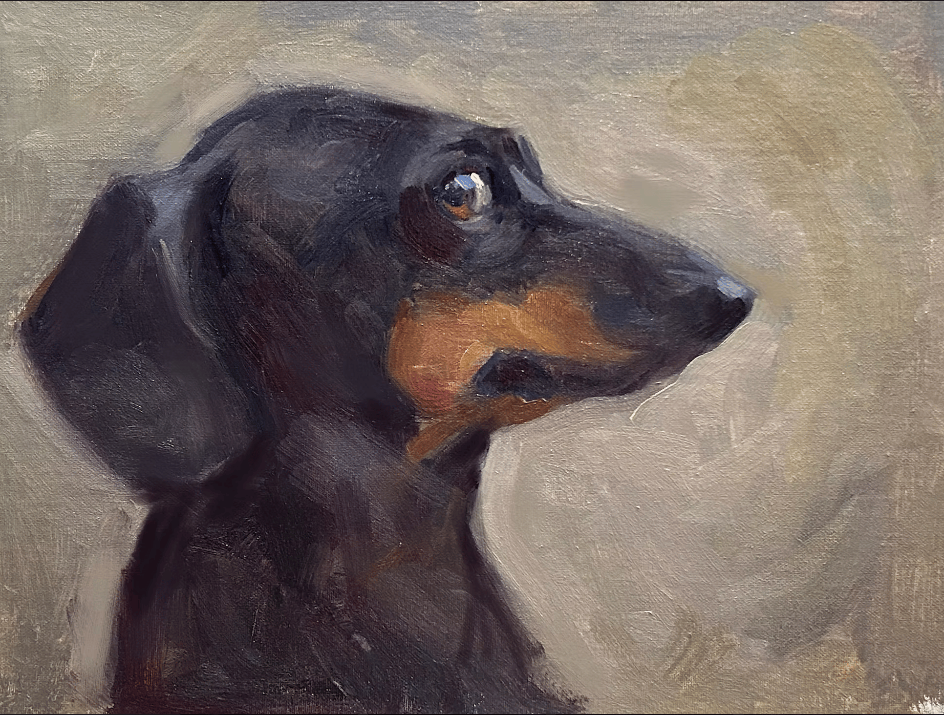 George Scribner's "Tulip"