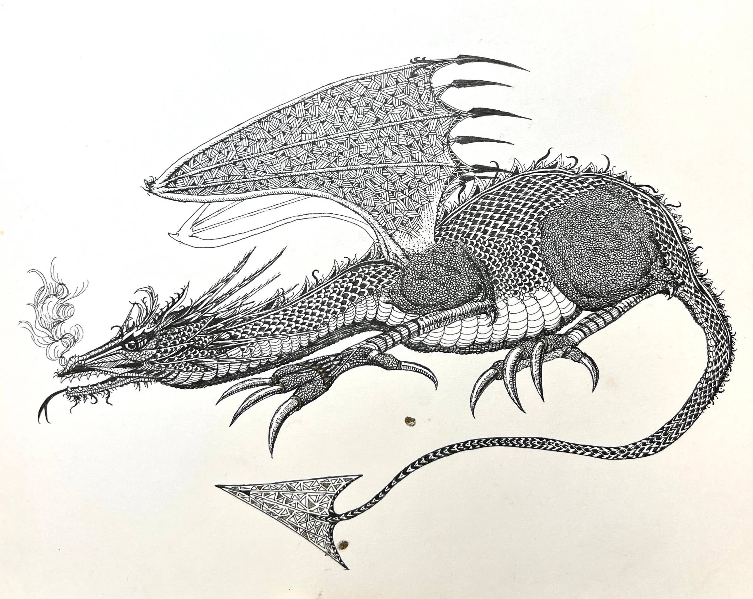 An old drawing of a dragon by Maggie Parr