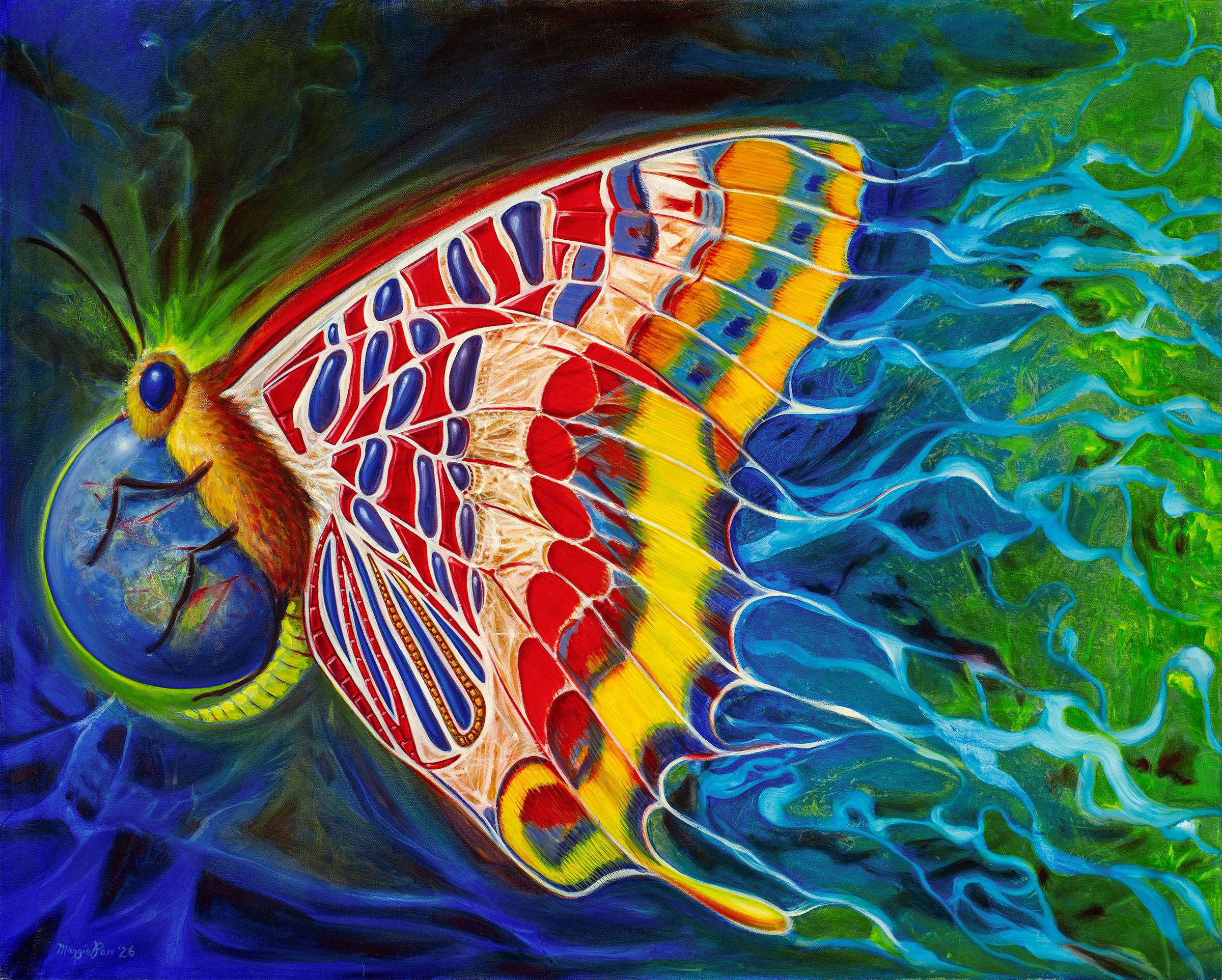 "Map of the Butterfly" by Maggie Parr