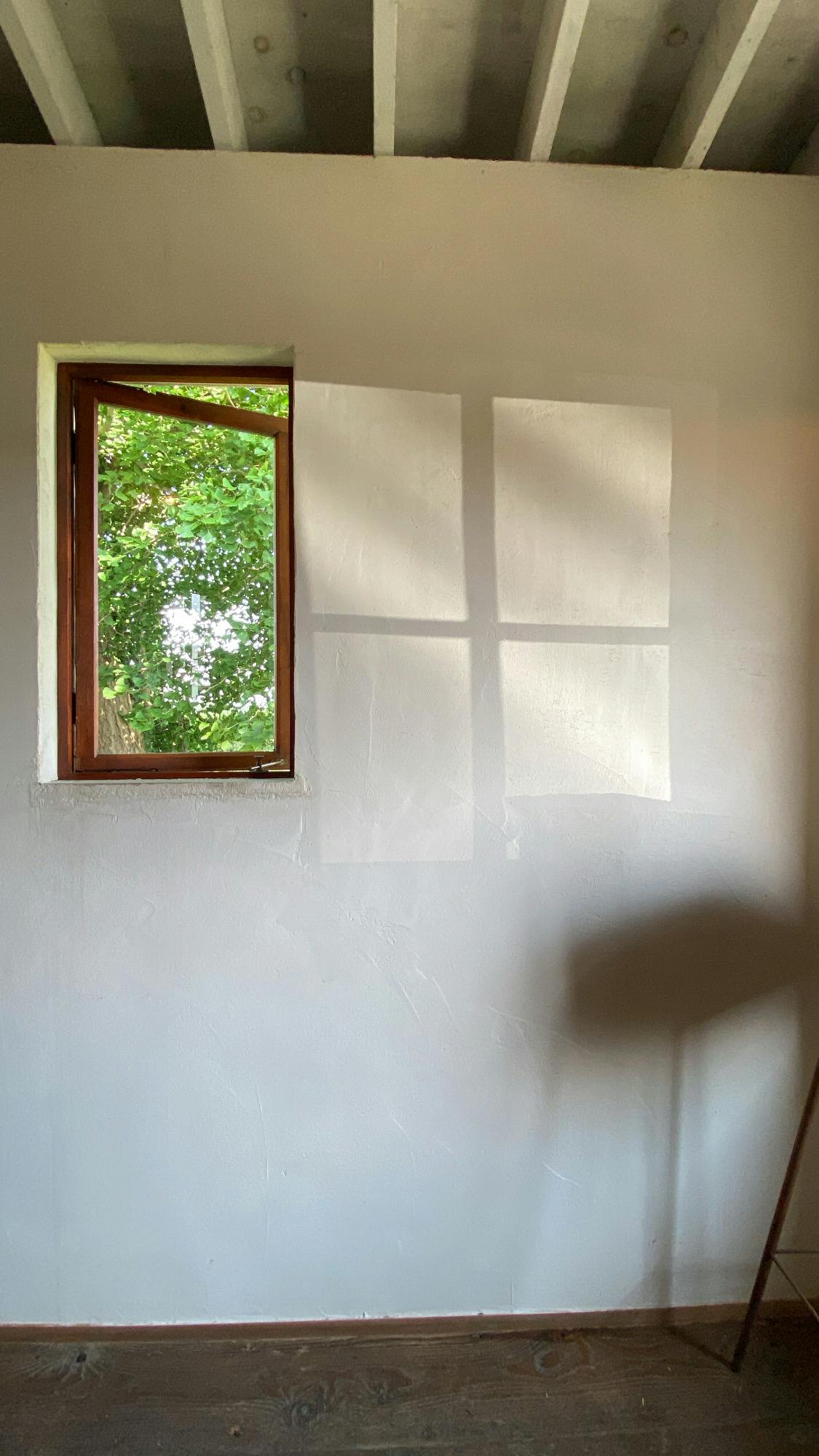 Interior with white walls. Window with trees.