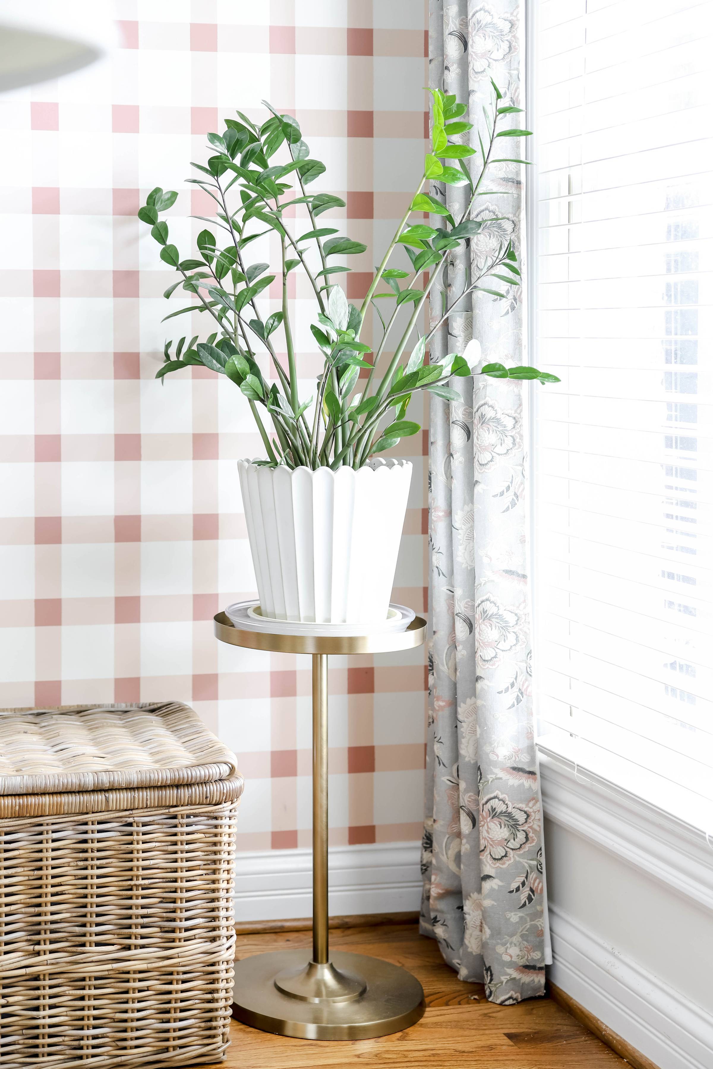 ZZ plant in a white scalloped planter on a brass plant stand.