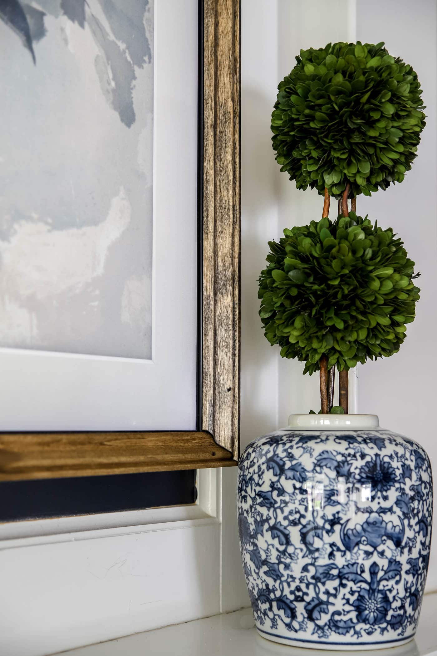 blue and white ginger jar with a boxwood topiary