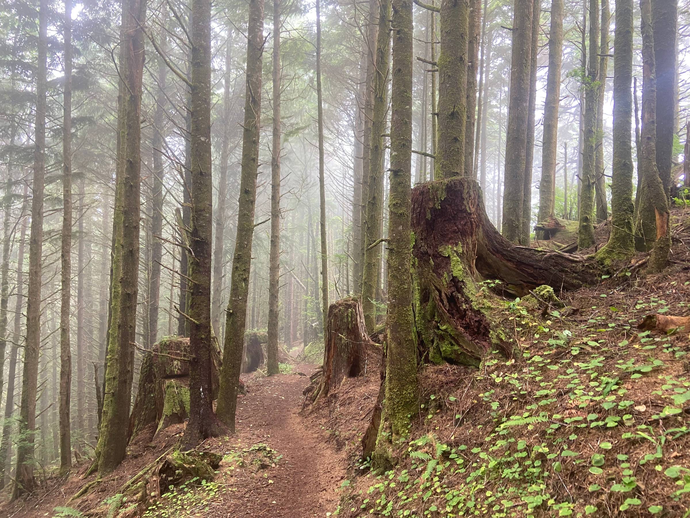 thumbnail placeholder