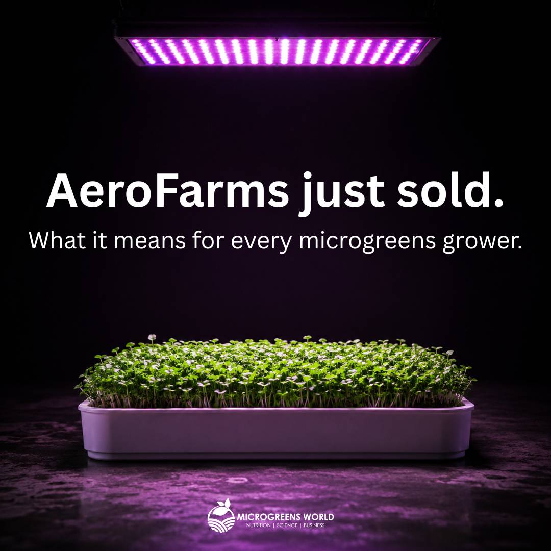Microgreens growing tray under purple LED grow lights representing the AeroFarms acquisition and its impact on the microgreens industry