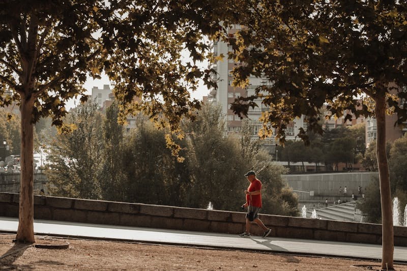 A man walking down a sidewalk next to trees