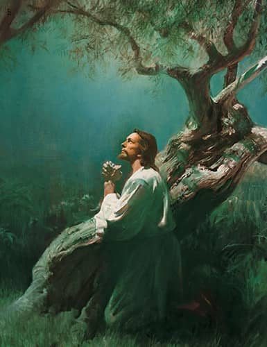 Garden of Gethsemane