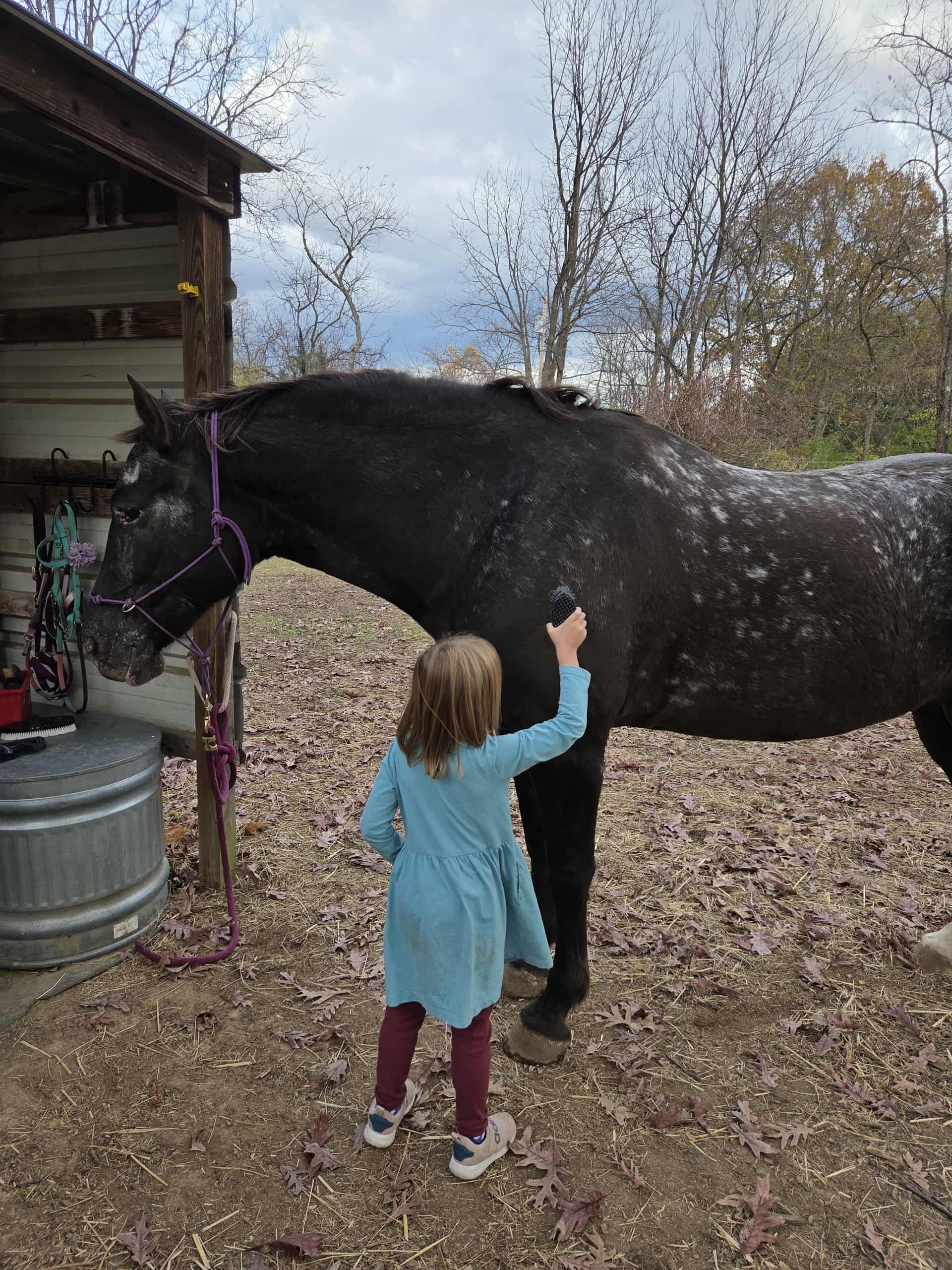 Doll the horse with riding student