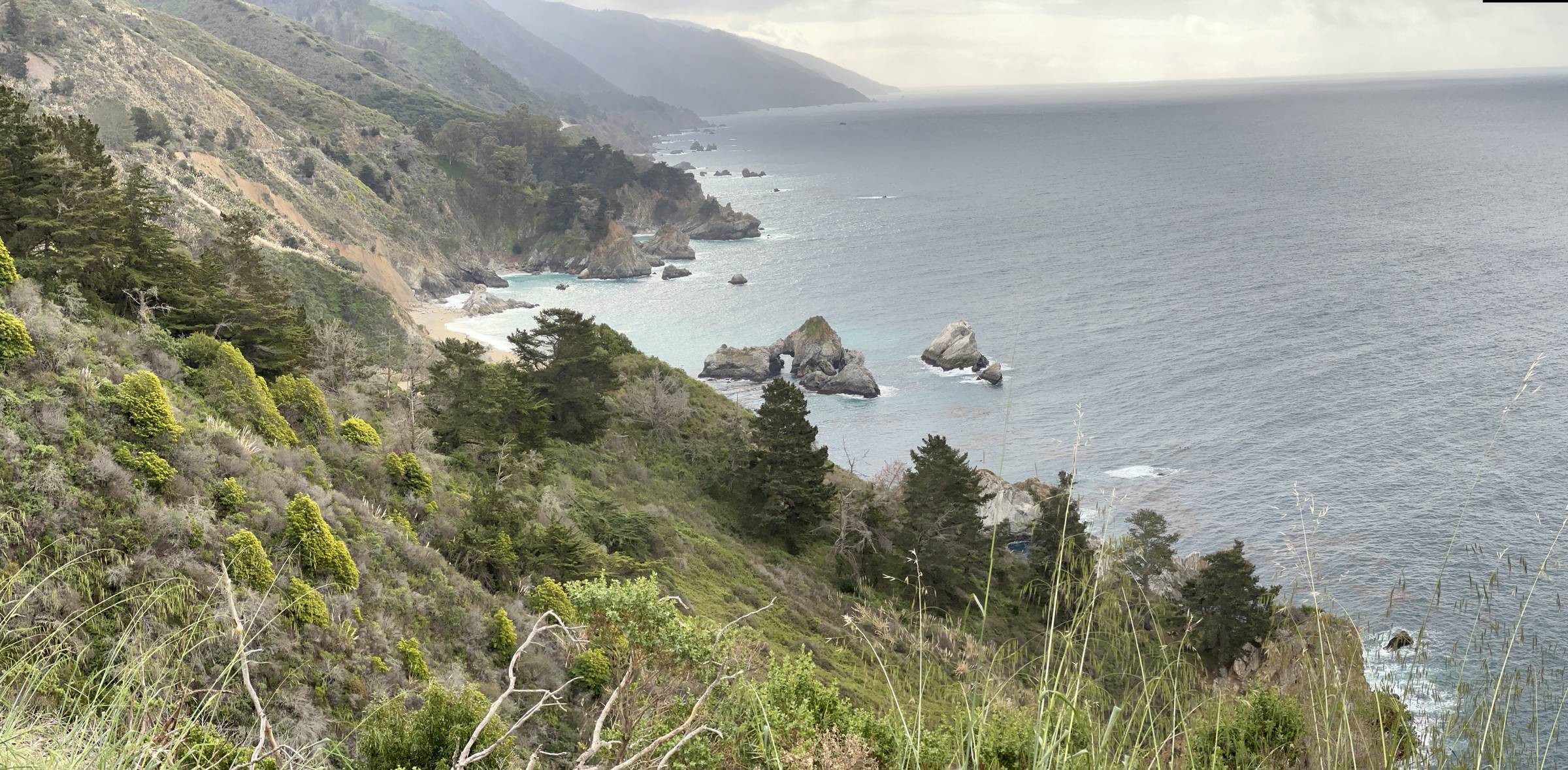 The California Palisades coast in 2022, before the current drought.