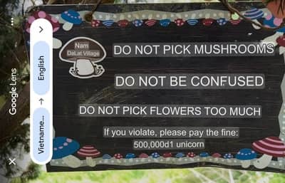 Translation: DO NOT PICK MUSHROOMS. DO NOT BE CONFUSED. DO NOT PICK FLOWERS TOO MUCH. If you violate, please pay the fine: 500,000d1 unicorn