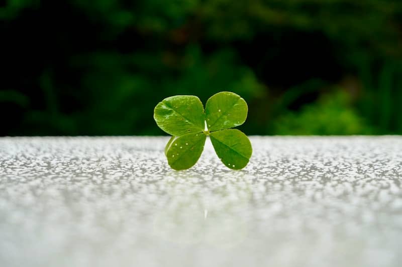 A single, lucky shamrock sits on a surface.