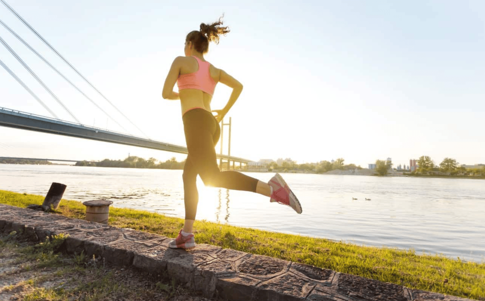 Biology Of Training: Do You Need More Miles Or More Speed? 2