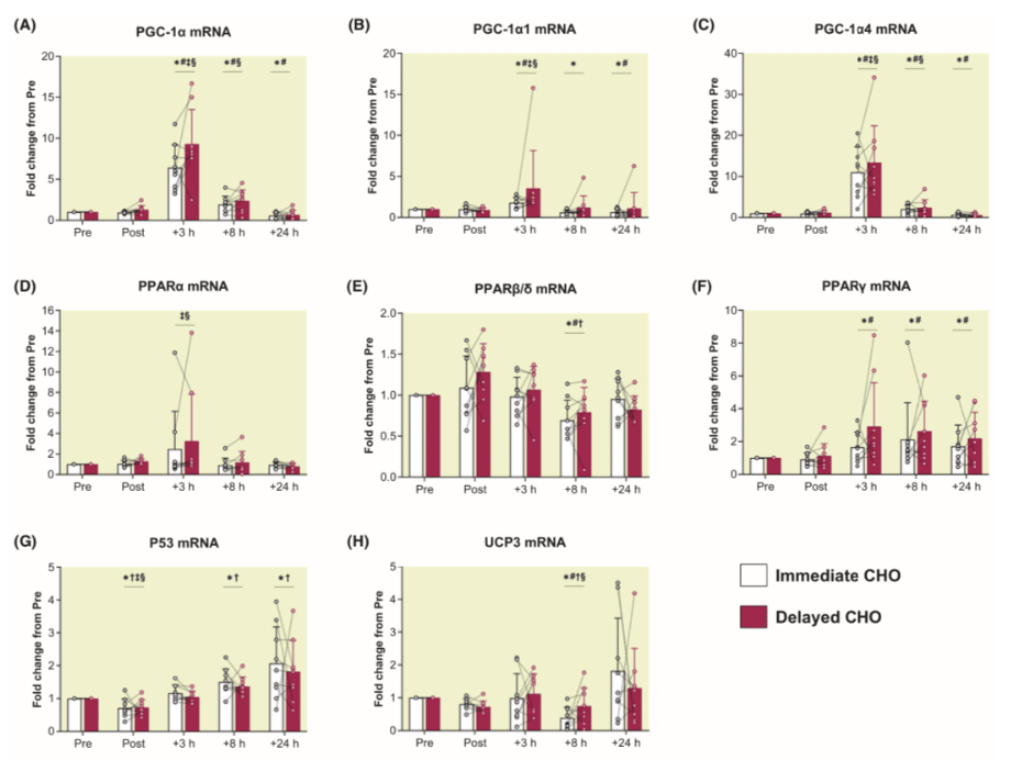 The Consequences Of Delaying Carbohydrates After Your Run 3